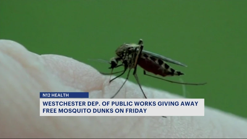 Story image: Westchester County offering free mosquito dunks ahead of peak mosquito season