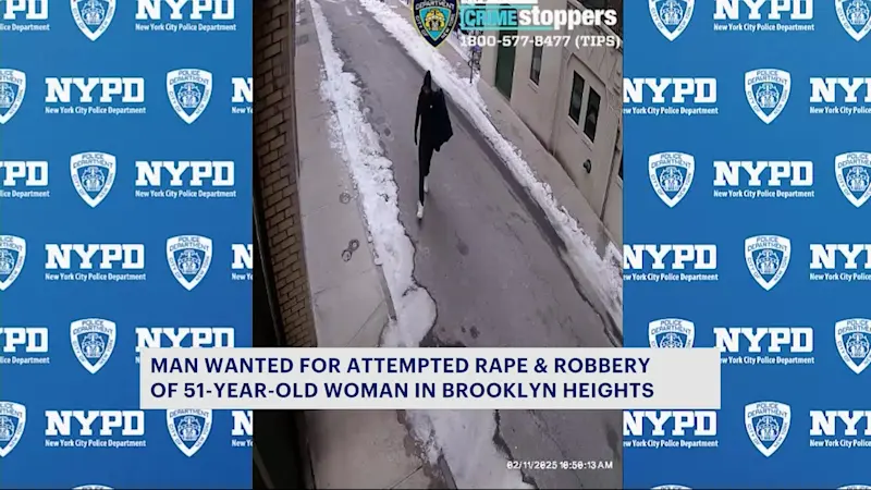 Story image: NYPD: Suspect at large in violent attempted robbery and rape in Brooklyn Heights