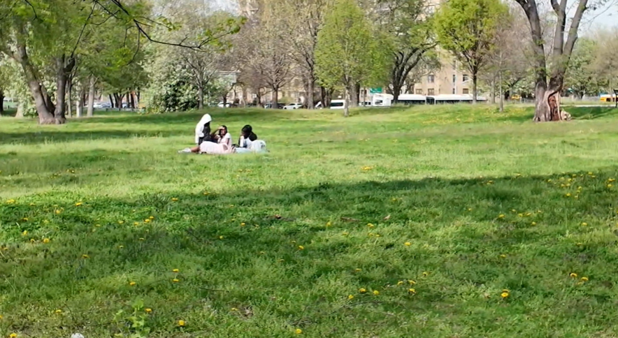 Screenshot 2026-04-16 180435