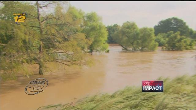 Article 130069 Thumbnail