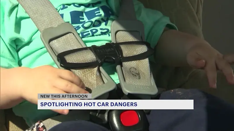 Story image: 2024 was deadliest year in past 2 decades for hot car deaths, NSC says