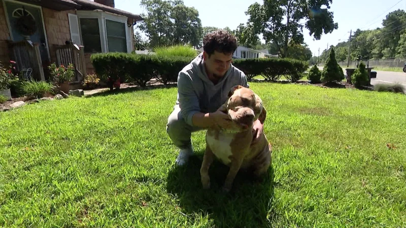 Story image: Officers rescue Holbrook man, dog after he jumped into Patchogue water to save his pet