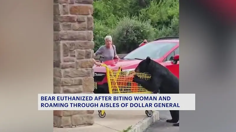Story image: Bear euthanized after entering Vernon Dollar General, injuring woman