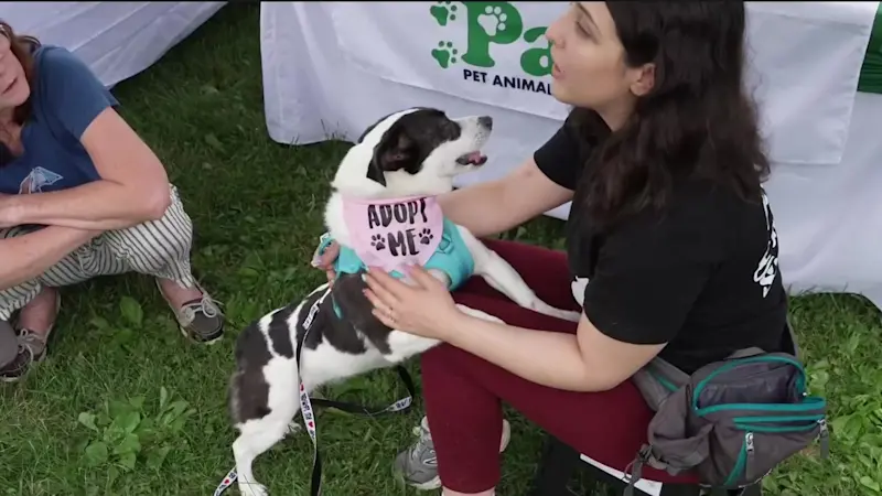 Story image: Animal sanctuary created in Sandy Hook girl’s memory marks milestone celebration Saturday