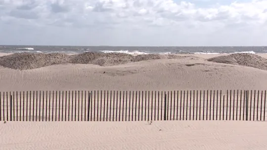 925libeachclosures_2026-09-25-05-26-42