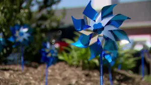 Pinwheel gardens raise awareness for Child Abuse Prevention month