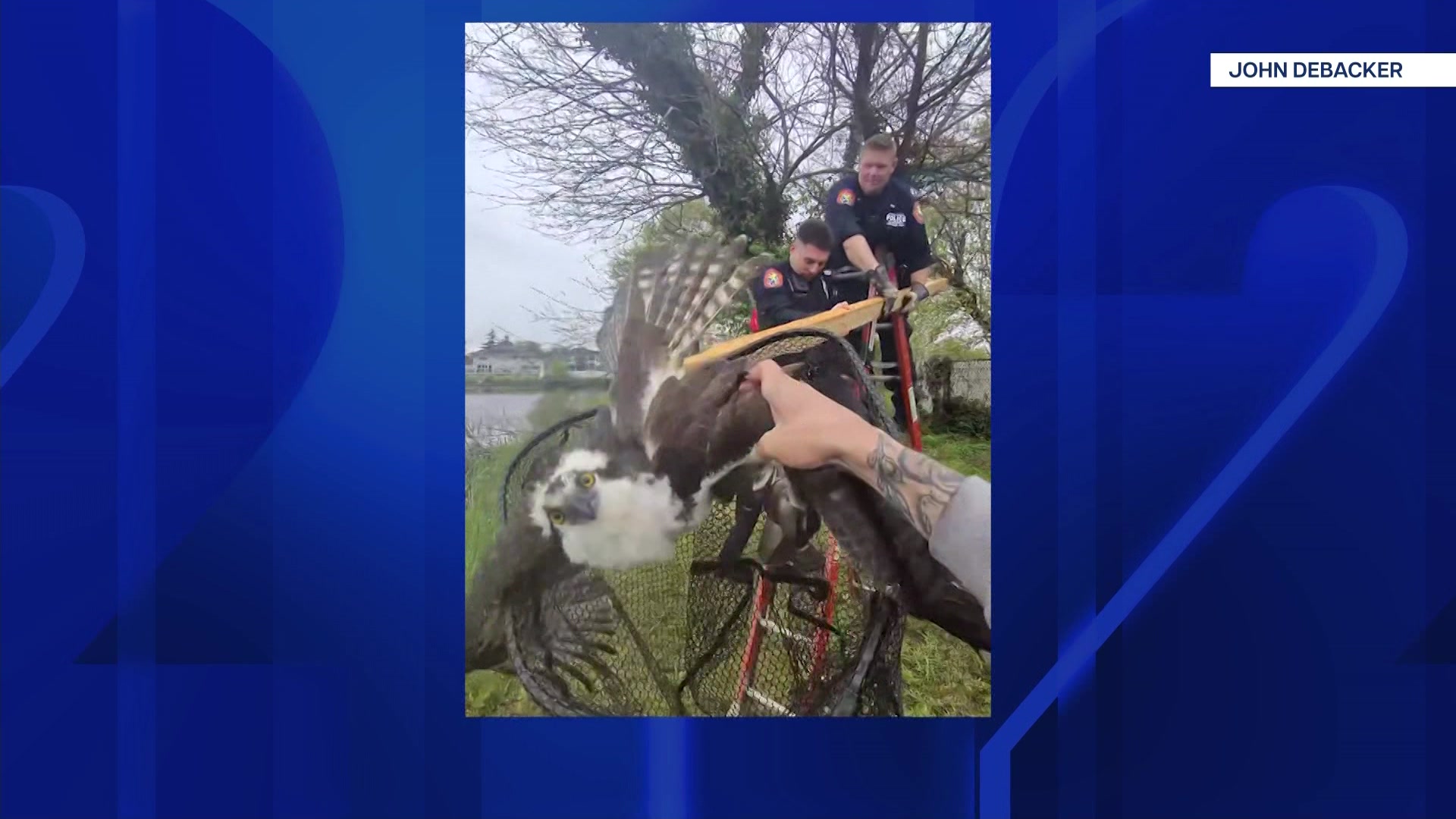 LIOSPREY427_2026-04-27-05-14-28