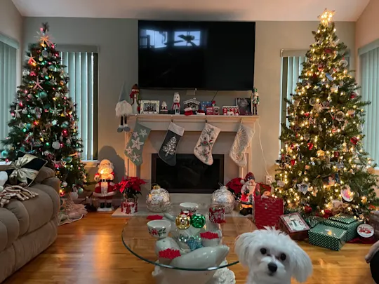 WCHV Holiday Photos Cover