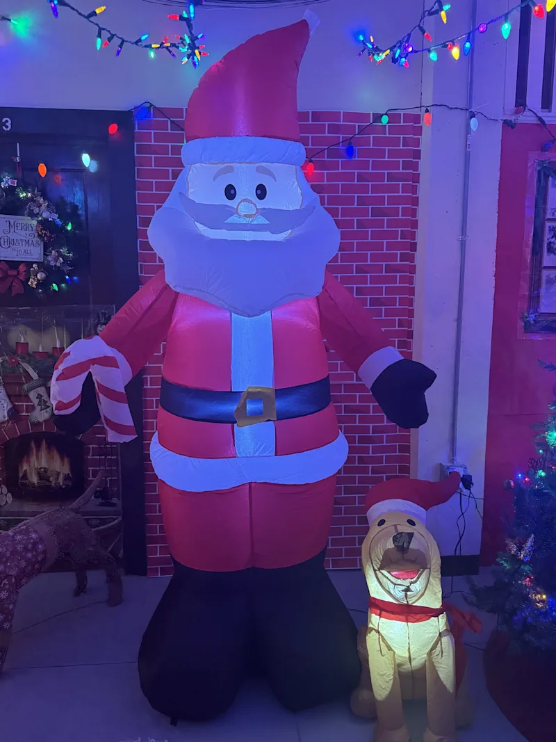dogf.jpg