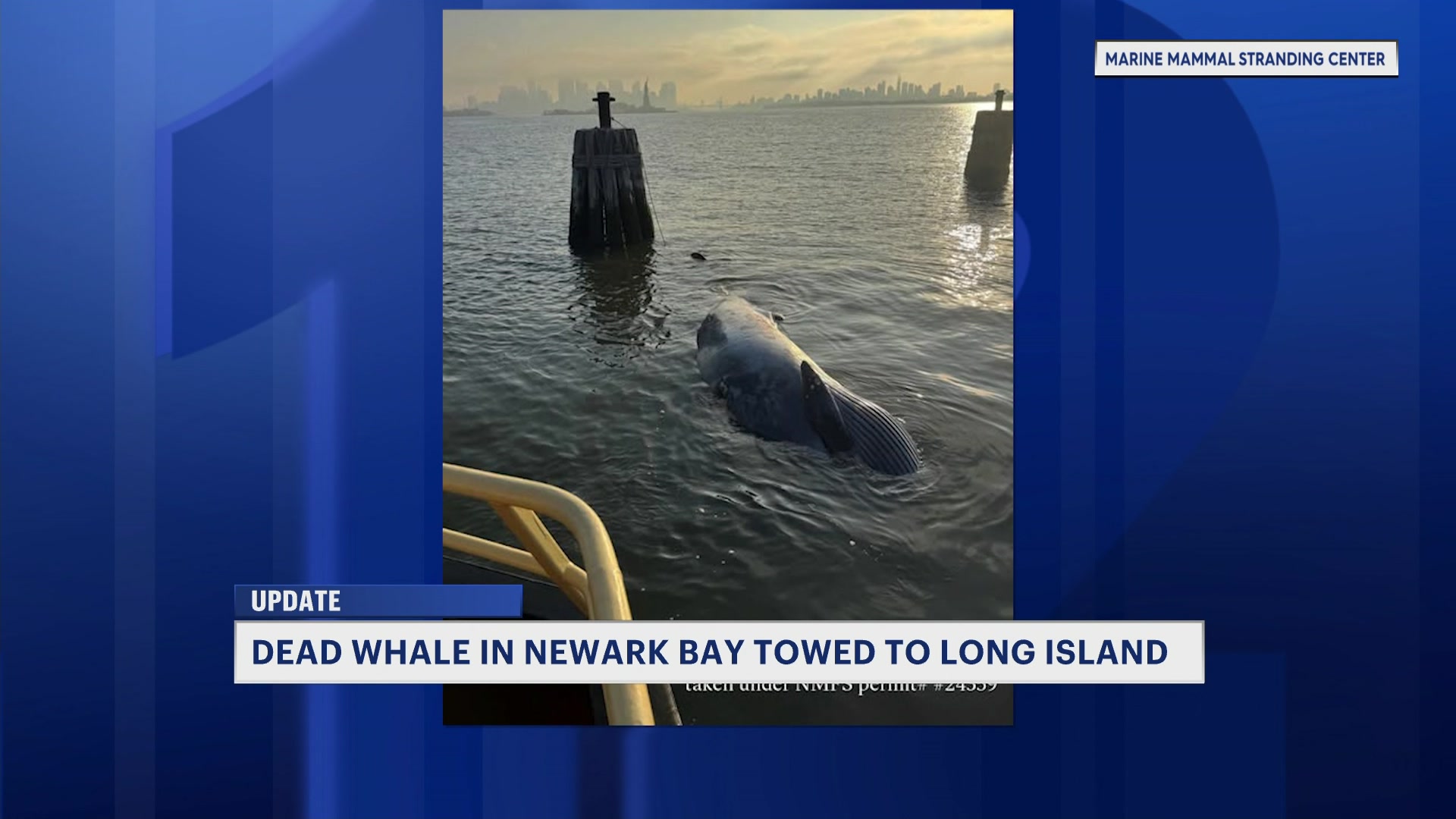 DeadWhaleUpdate5p_2026-04-16-17-14-35