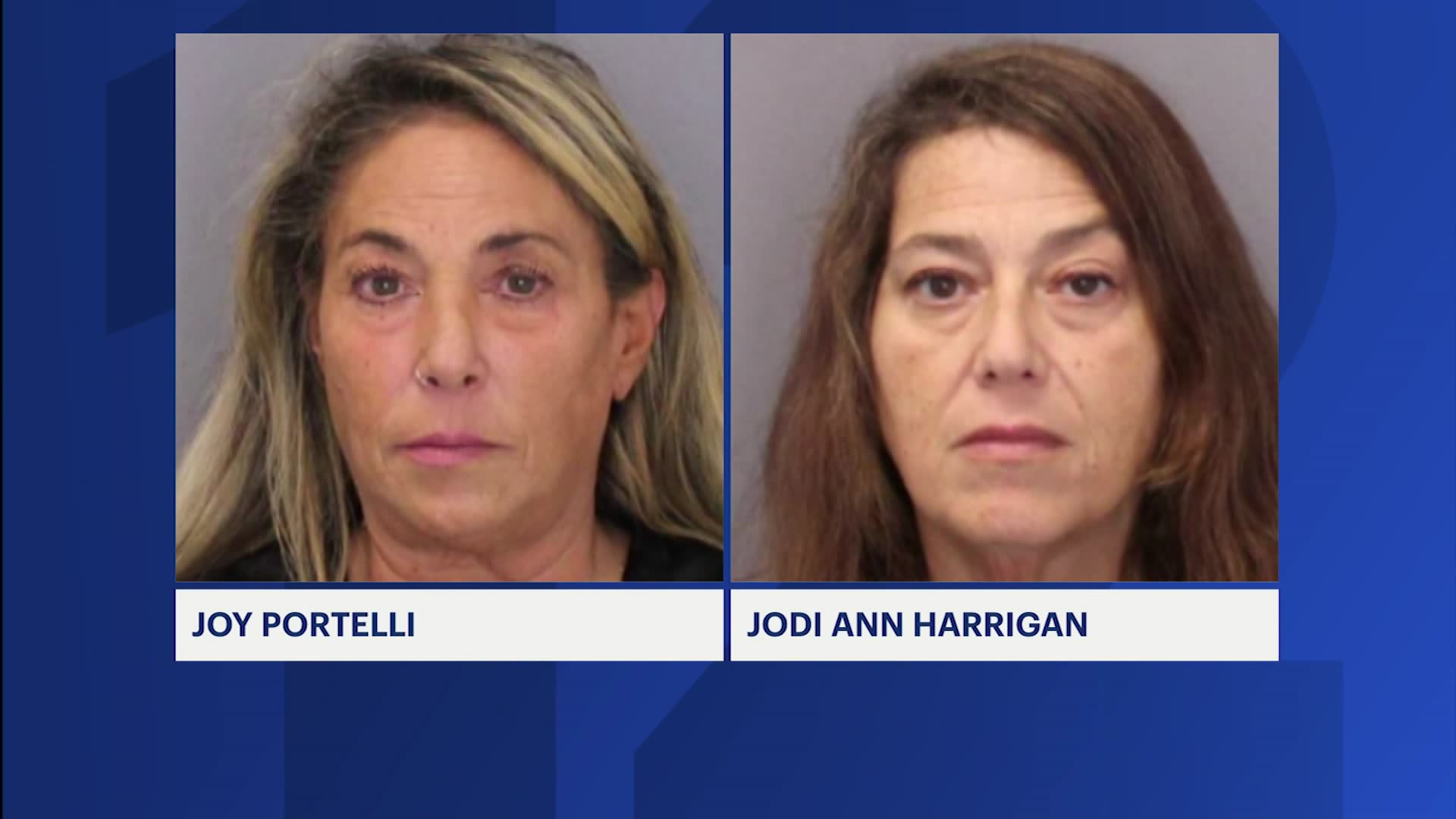 Investigators 2 Lindenhurst women arrested for stealing car in Virginia