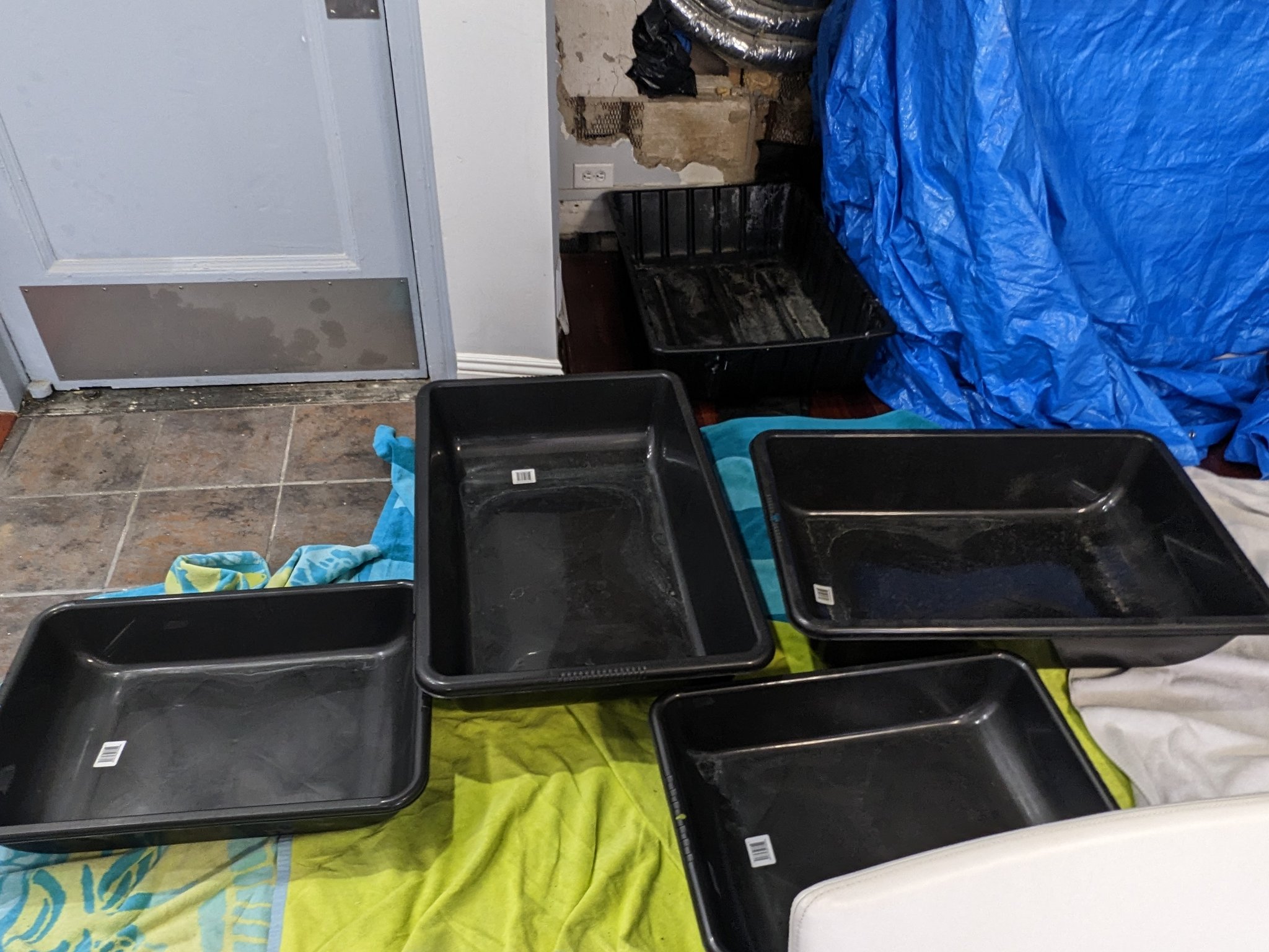 GEyIxmeXgAAjcJV.jfif