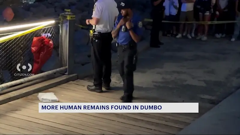 Story image: Medical examiner: Dumbo human remains all stem from 1 person