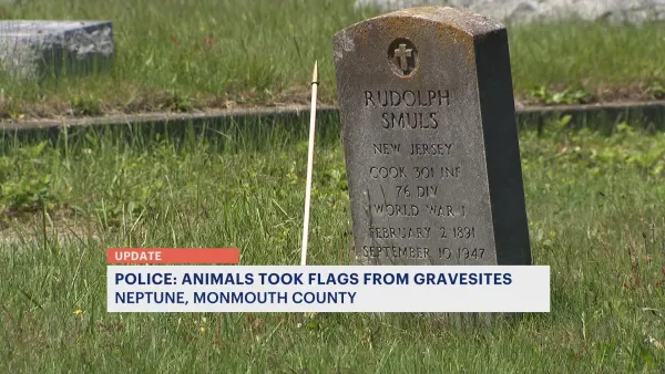 Officials: American flags ‘stolen’ off veterans’ graves in Neptune likely taken by animals