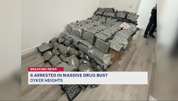 Nearly 1,000 pounds of illegal drugs, guns found in Dyker Heights takedown