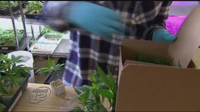 Article 49827 Thumbnail