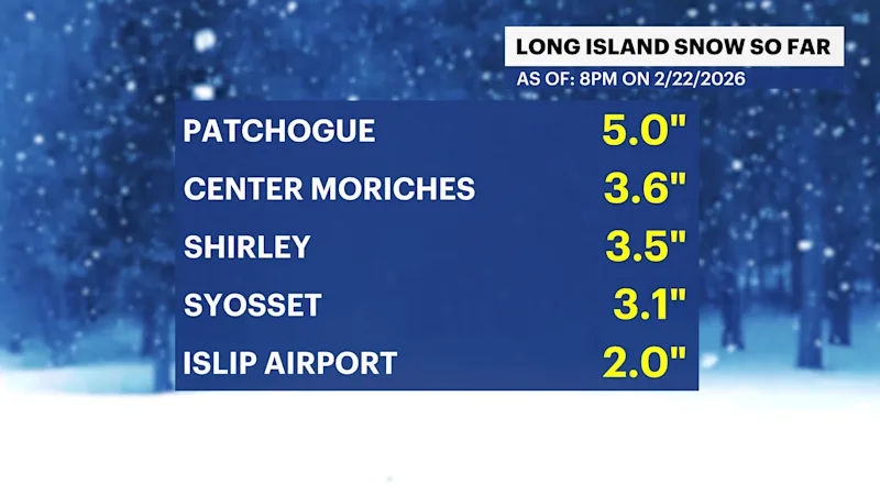 H_Totals_SNOW_PAGE_1A.png