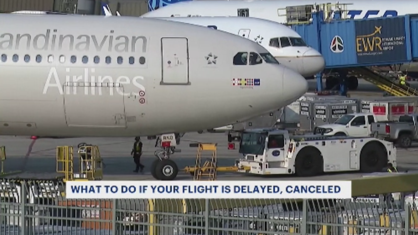 Travel and aviation experts offers 5 best practices to use in case of flight delays, cancellations