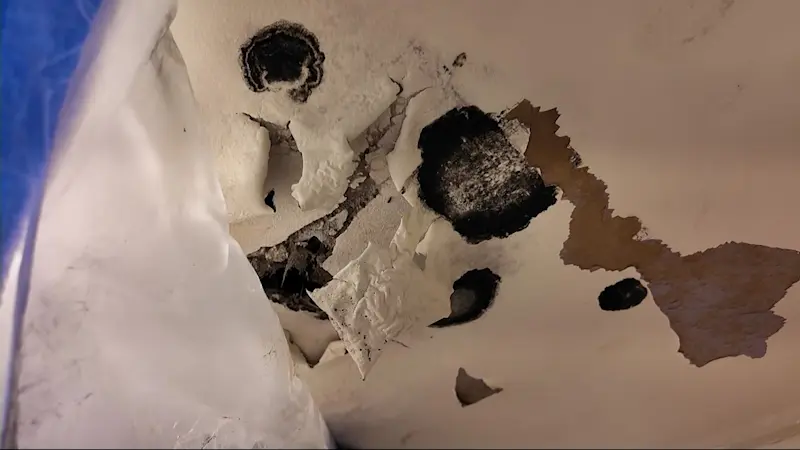 Story image: 'I want to move,' News 12 takes action after Brownsville residents complain about living conditions