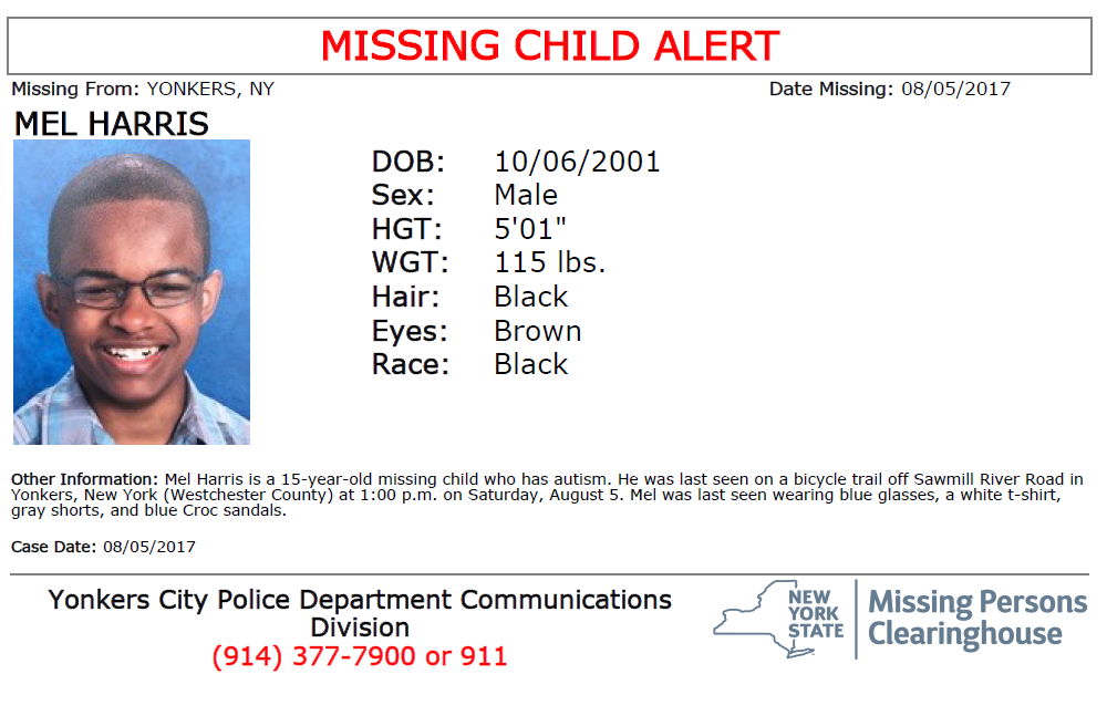 Article 127353 Thumbnail