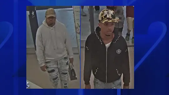 LISUNGLASSESSTOLEN1026_2026-10-26-05-40-36