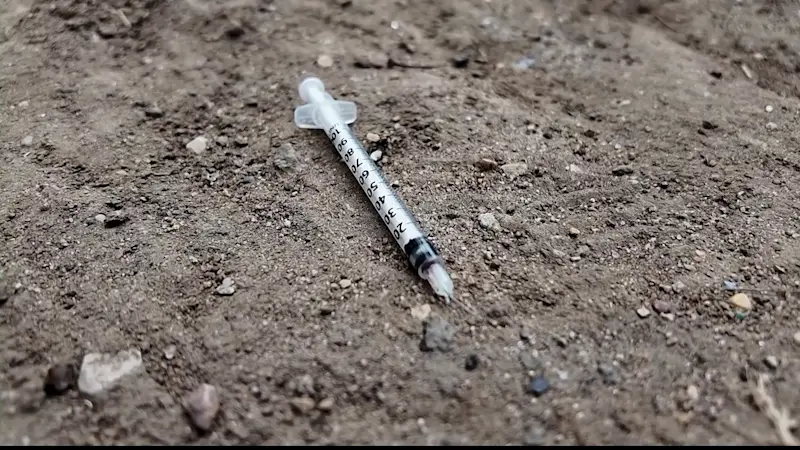 Story image: Needles found outside of Bushwick school