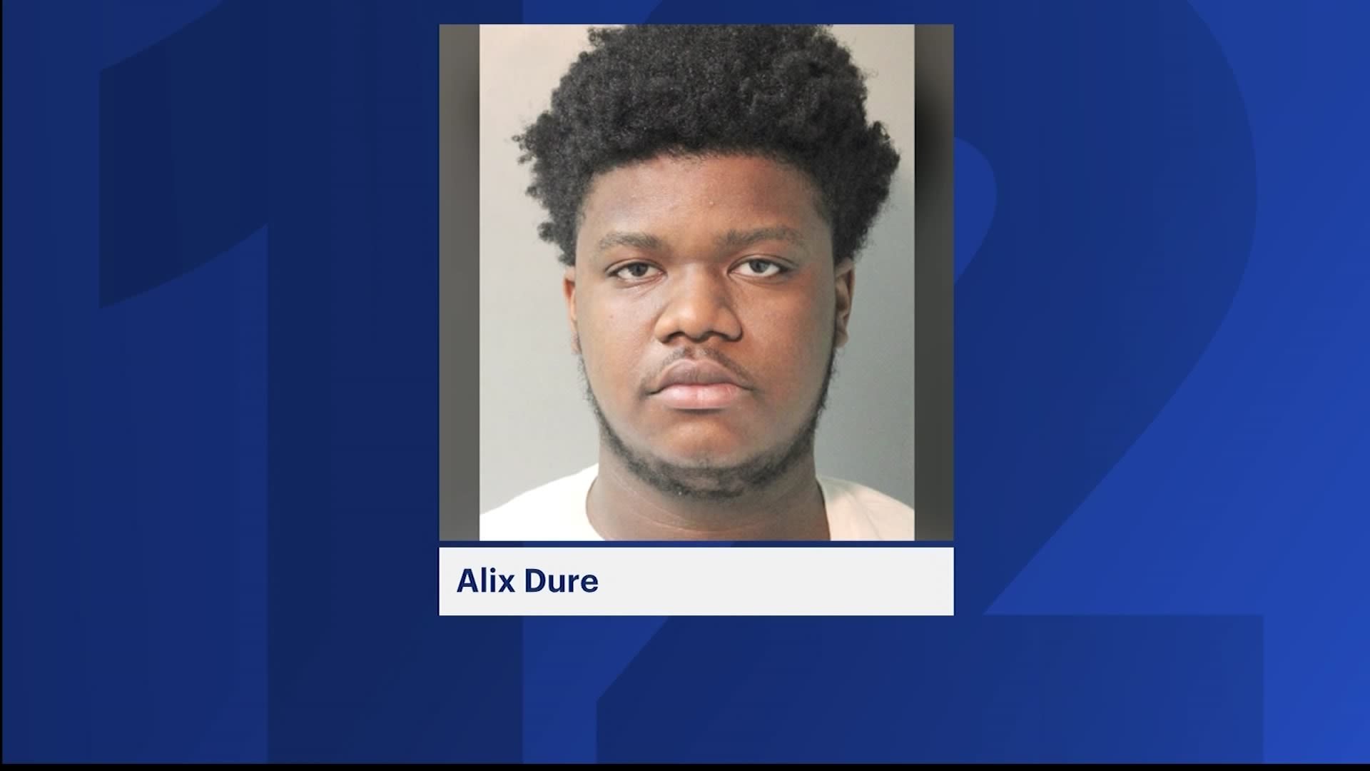 Police Elmont Man Stole Food Delivery Driver s Car After Leaving police-elmont-man-stole-food-delivery-driver-s-car-after-leaving