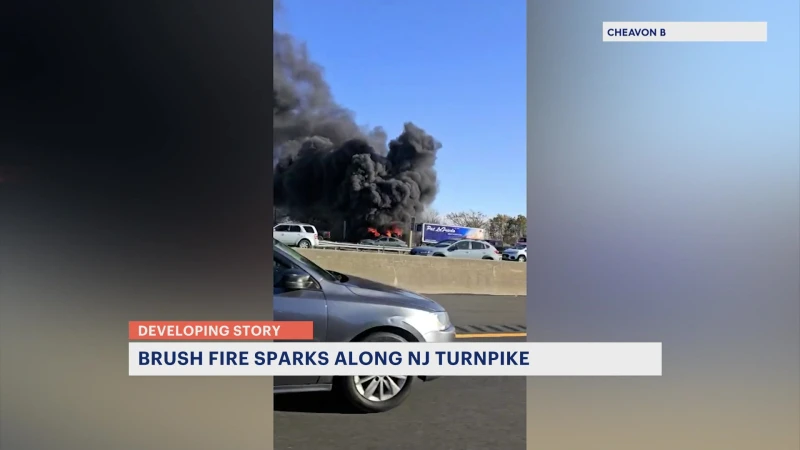 Story image: Officials: Truck fire spreads to nearby brush along New Jersey Turnpike