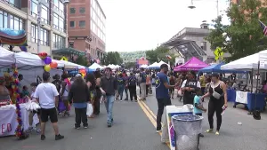 Yonkers Pride Festival celebrates the city's unity and diversity