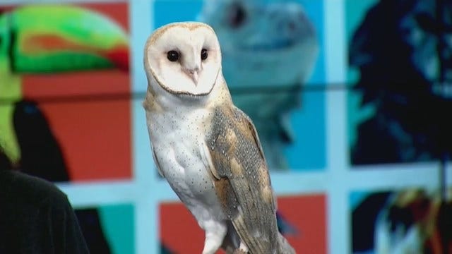 Article 4475 Thumbnail