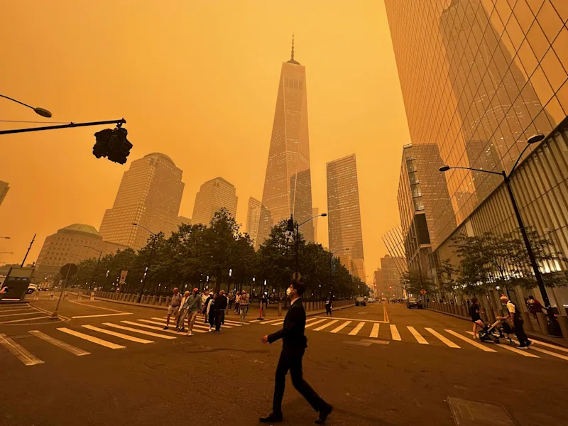 WILDFIRE10.jpg