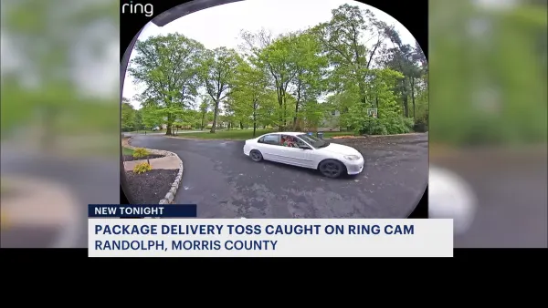 CAUGHT ON CAMERA: Delivery driver seen carelessly tossing package from car window