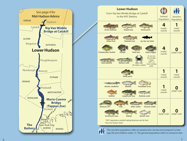 Story image: Families can now eat some Hudson River fish for first time in 50 years