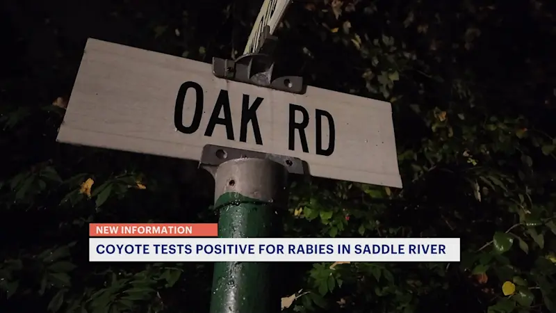 Story image: Coyote tests positive for rabies after second Bergen County attack this week