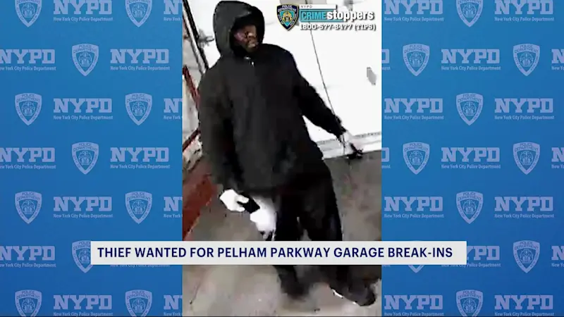 Story image: Police hunt for thief in Pelham Parkway garage break-ins