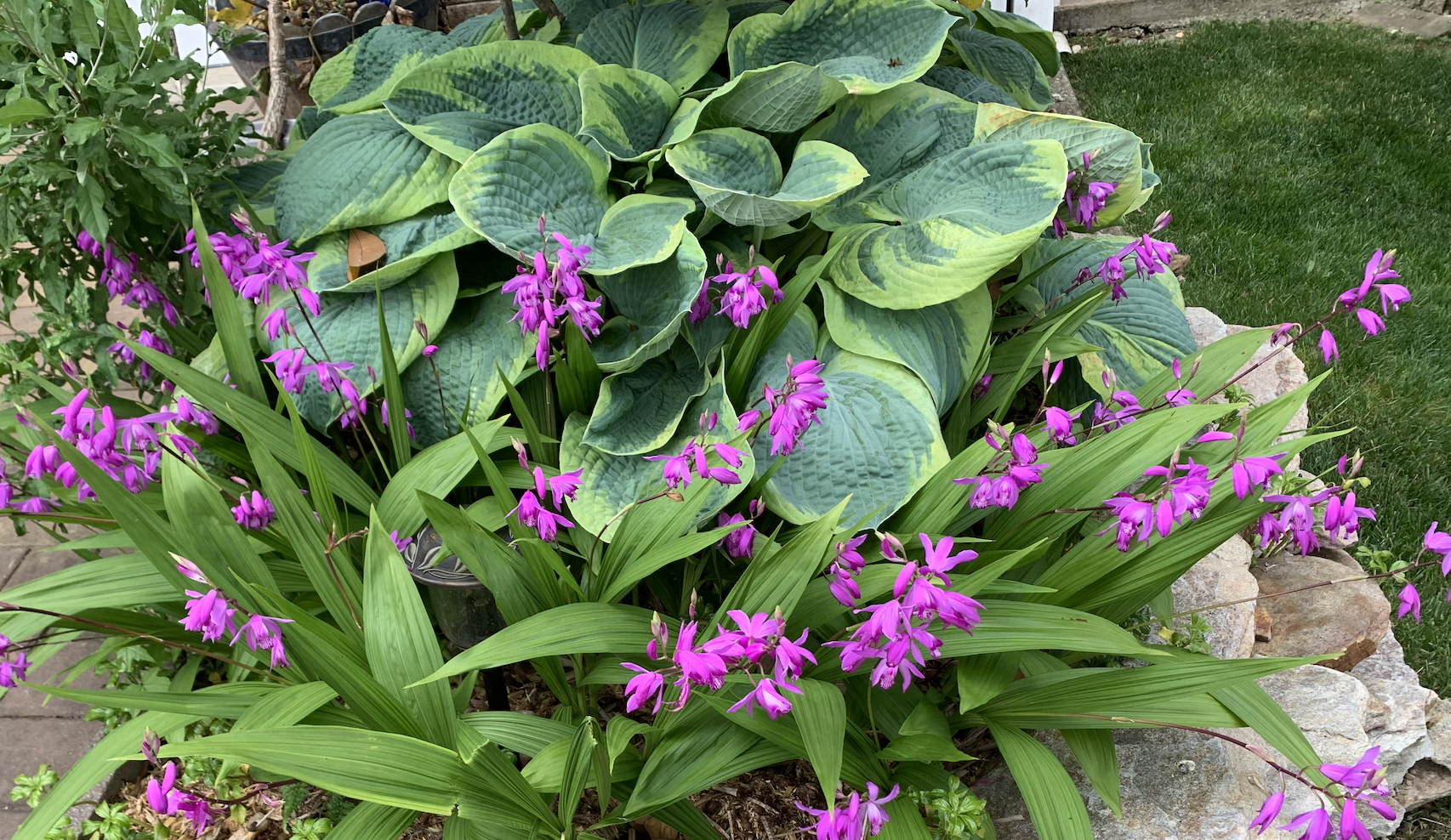 Screenshot 2026-04-08 at 6.51.22 AM.png