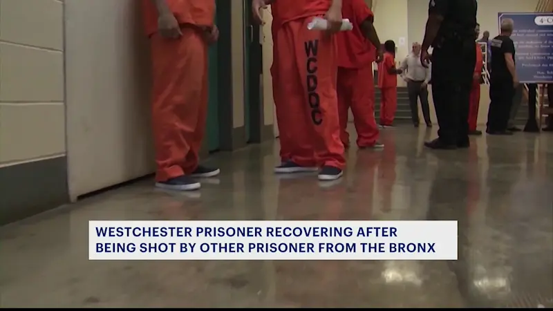 Story image: Prisoner from The Bronx shoots another prisoner inside transport van