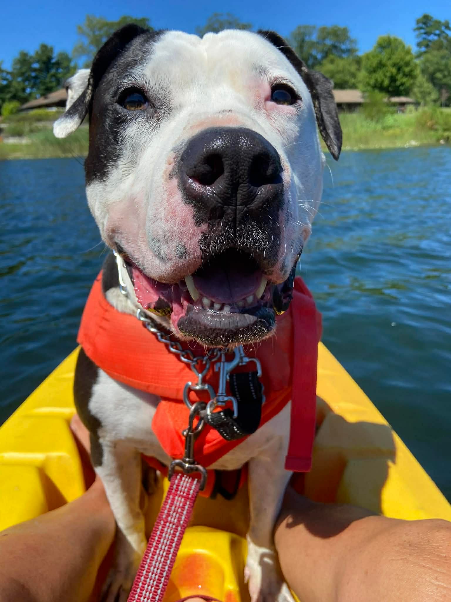 d0869e93-d650-47f4-8da1-6e0bf709a567.jfif