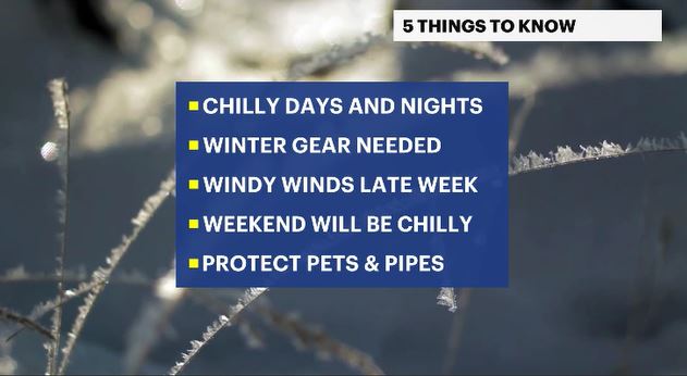 5 things to know.JPG