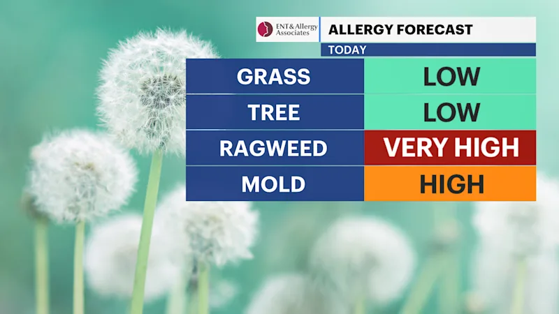 ALLERGY.png