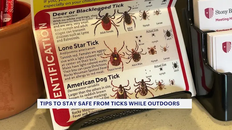 Story image: LI doctors say they are seeing more tick bites this season
