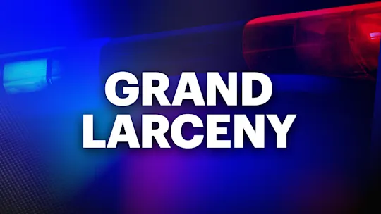 GRAND LARCENY police Monitor copy