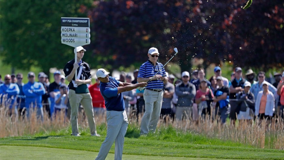 Article 15382 Thumbnail