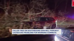 Driver survives tree crashing down on his SUV while on Saw Mill River Parkway