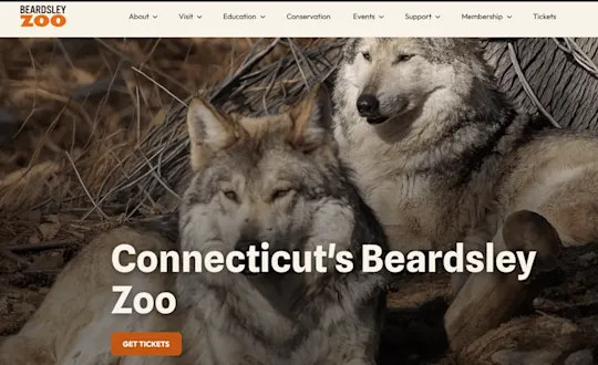 zoo screenshot
