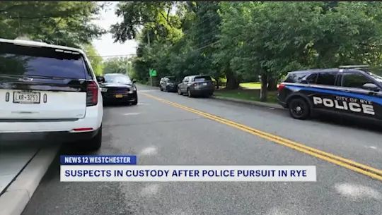 RTREGWCHVPolicePursuitRyeSG001