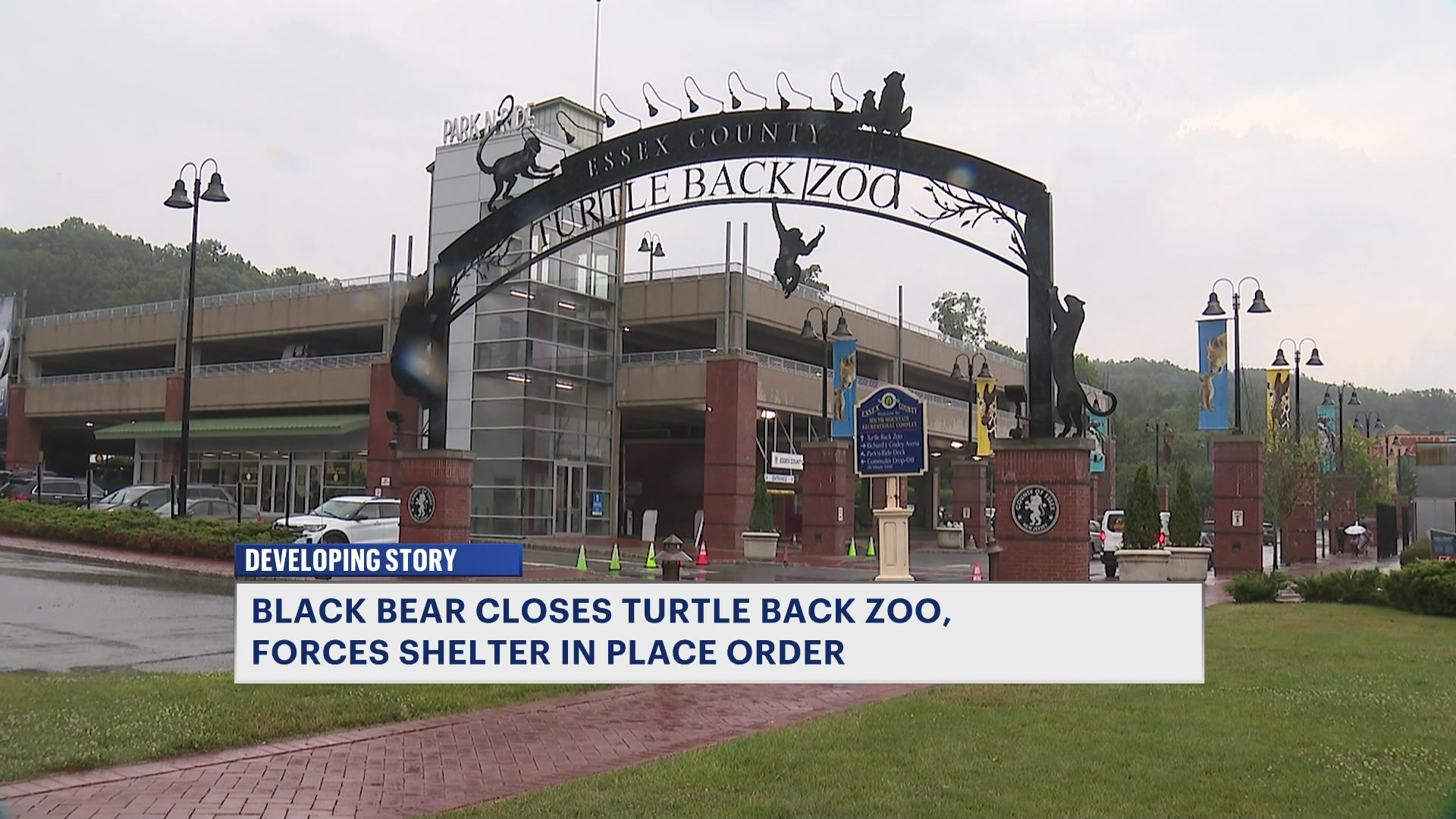 RTNJTurtleackZooBearSightVO10pm_2026-06-22-22-12-46