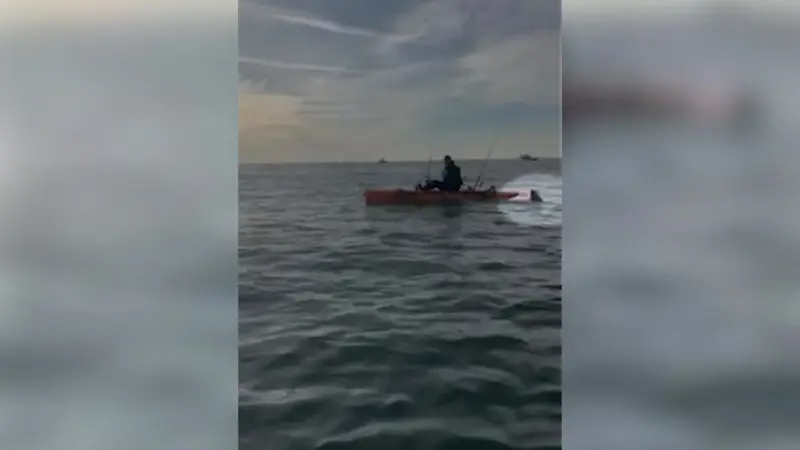 Story image: Fisherman bumped by shark off coast of Long Beach