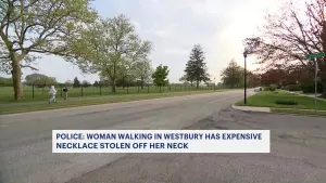 Police: $5,000 necklace ripped off woman's neck in Westbury