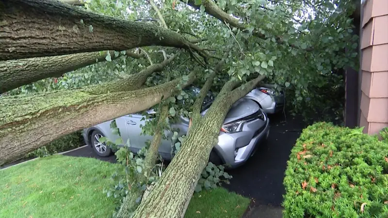Story image: Fierce storm topples trees, damages property across Long Island
